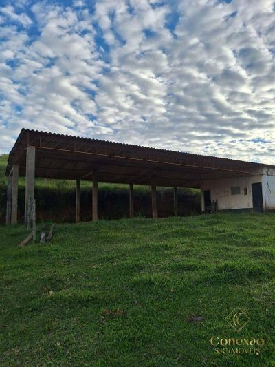 Fazenda, 97 hectares - Foto 2