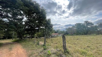 Chácara, 4 quartos, 2 hectares - Foto 3