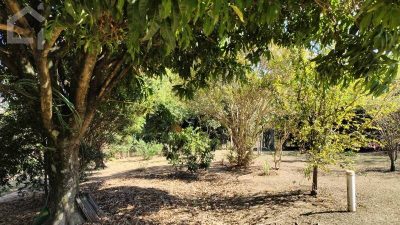 Terreno, 1200 m² - Foto 5