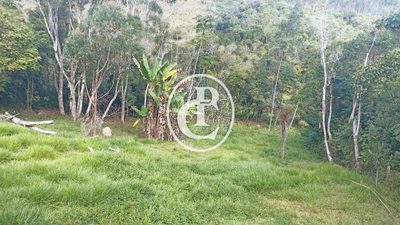 Chácara, 2 quartos, 3 hectares - Foto 4