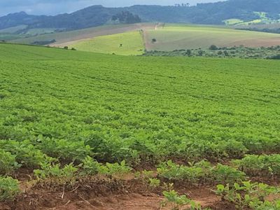 Fazenda, 427 hectares - Foto 1