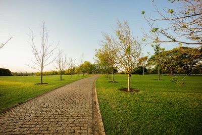 Terreno, 505 m² - Foto 4