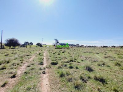 Chácara, 3 quartos, 12 hectares - Foto 2