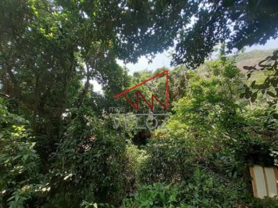 Terreno - Foto 1