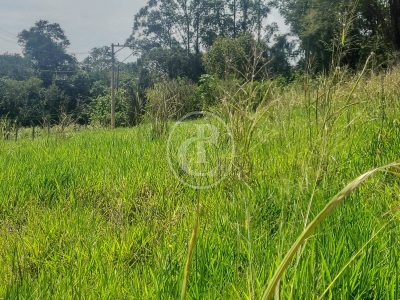 Sítio, 7 quartos, 3 hectares - Foto 4