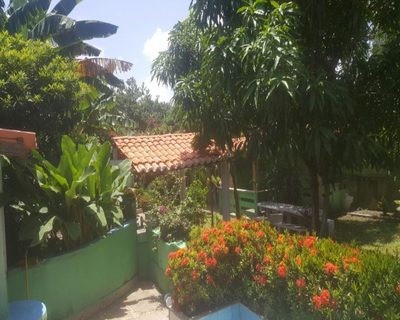 Chácara, 3 quartos - Foto 4
