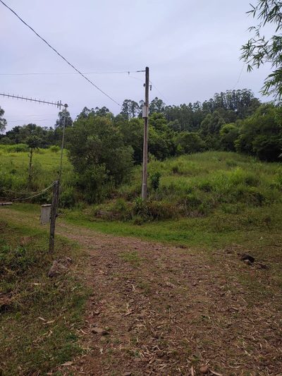 Chácara, 3 quartos, 20 hectares - Foto 1