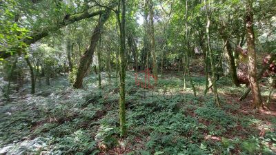 Terreno, 1253 m² - Foto 3