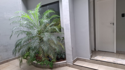 Casa, 4 quartos, 353 m² - Foto 1