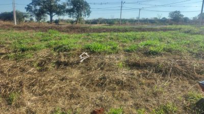 Terreno, 200 m² - Foto 2