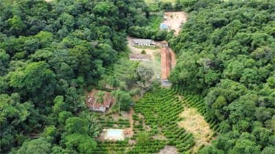 Terreno, 9650 m² - Foto 5
