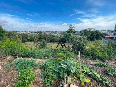 Terreno, 4216 m² - Foto 2
