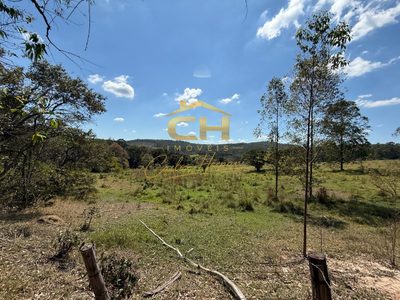 Fazenda, 83 hectares - Foto 5