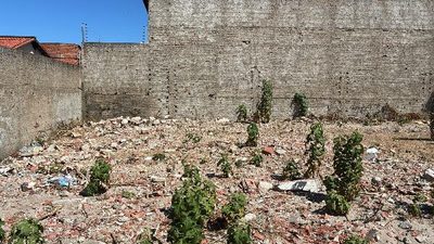 Terreno, 65 m² - Foto 1