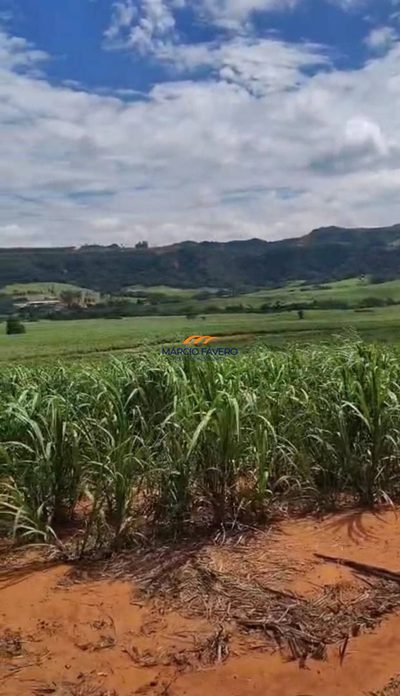 Fazenda, 134 hectares - Foto 4