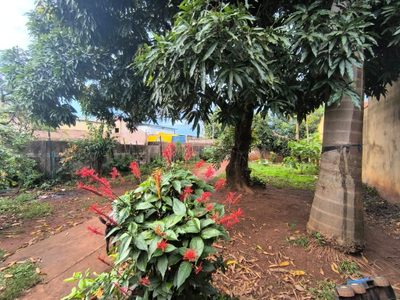 Terreno, 360 m² - Foto 5