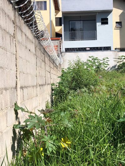 Terreno, 125 m² - Foto 2