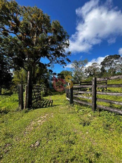 Fazenda - Foto 5