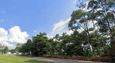 Terreno, 24 hectares - Foto 3