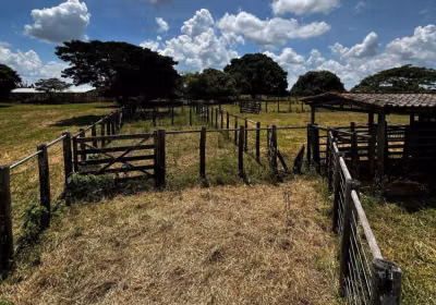 Fazenda - Foto 1