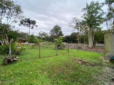 Fazenda, 3000 m² - Foto 4