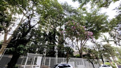 Cobertura, 3 quartos, 585 m² - Foto 4