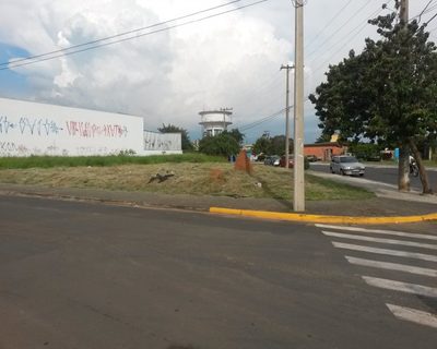 Terreno - Foto 2
