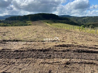 Fazenda, 327 hectares - Foto 2