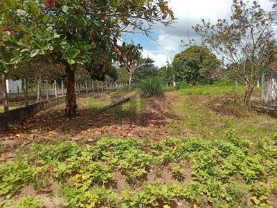 Chácara, 2 quartos, 14 hectares - Foto 3