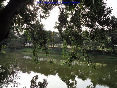 Terreno, 390 m² - Foto 4