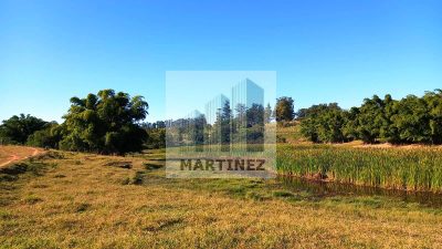 Terreno, 13 hectares - Foto 4