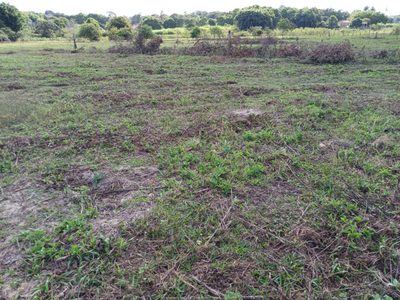 Fazenda, 2 hectares - Foto 5