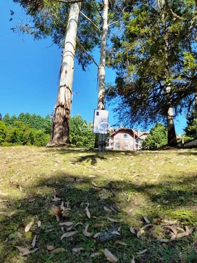 Terreno, 1112 m² - Foto 2