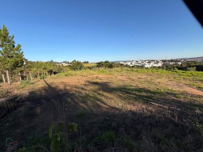Terreno, 6500 m² - Foto 3