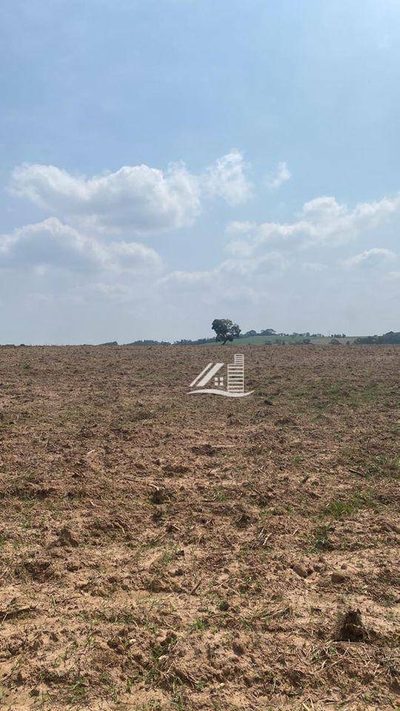 Terreno, 8 hectares - Foto 3