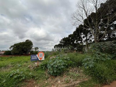 Terreno, 2520 m² - Foto 2