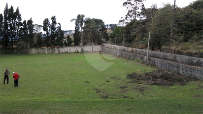 Terreno, 2445 m² - Foto 3