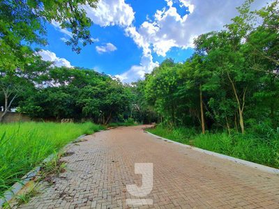 Terreno, 1000 m² - Foto 4
