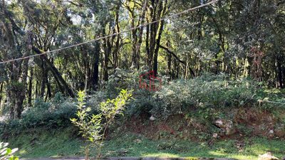 Loteamento e Condomínio, 734 m² - Foto 3