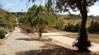 Terreno, 7 hectares - Foto 5