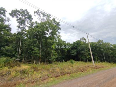 Terreno, 3 hectares - Foto 1