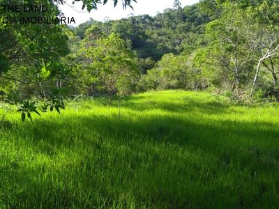 Terreno, 1 hectares - Foto 4
