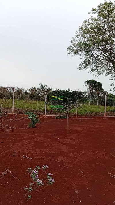 Depósito-Galpão - Foto 4