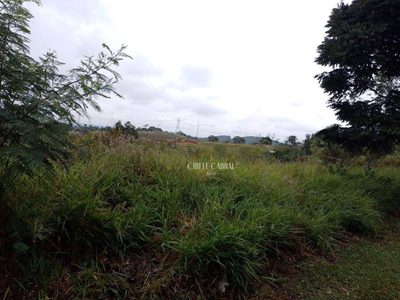 Terreno, 5224 m² - Foto 3