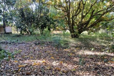 Terreno, 1050 m² - Foto 3
