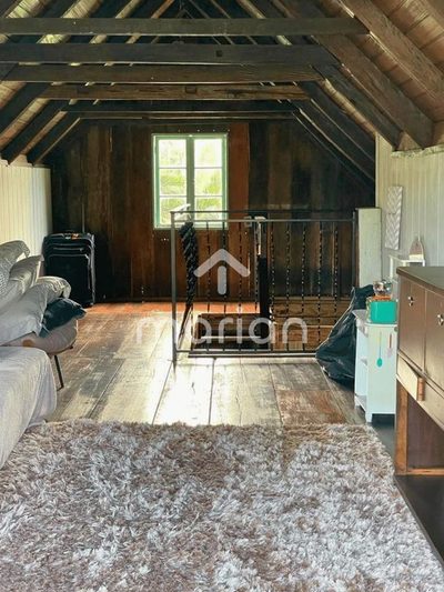 Sítio, 2 quartos, 3000 m² - Foto 3