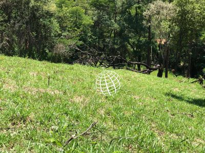Terreno, 3 hectares - Foto 1