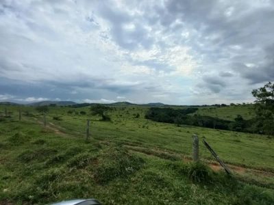 Fazenda - Foto 2