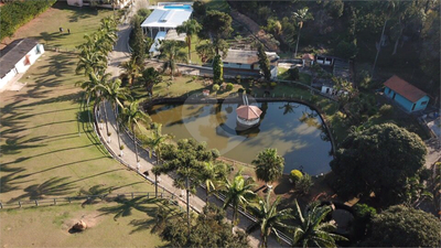 Chácara, 4 quartos, 3 hectares - Foto 3