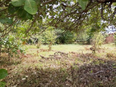 Terreno, 2880 m² - Foto 2